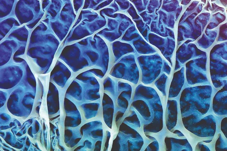 4563_3846_2624_ami_journals_key_journal_image_lam_cmyk_2_728111_crop2_5076241_241683.jpg 2