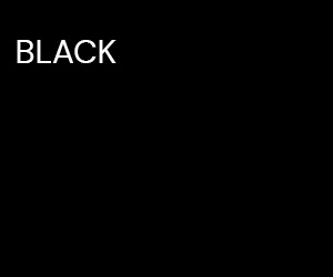 300 x 250 BLACK PS.jpg