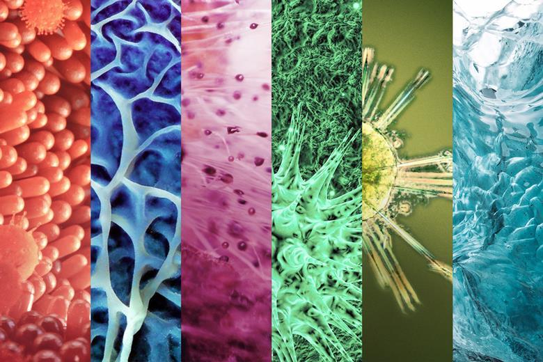 1990_alljournalsimage_770653.jpg 1