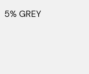 300 x 250 GREY 5 PS.jpg