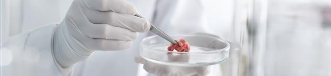 Mincemeat banner.jpg