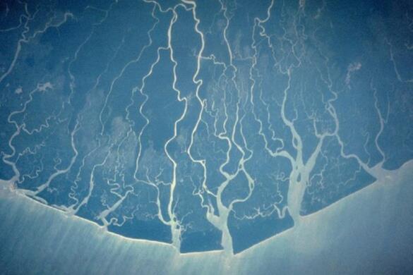 14580_nigerdelta_nasa_188599_crop.jpg