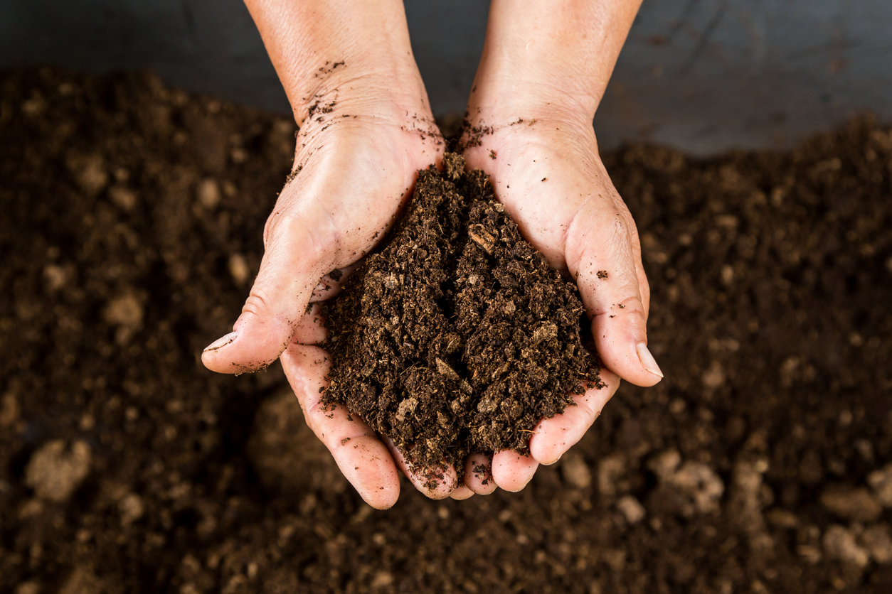 Soil in hands.jpg