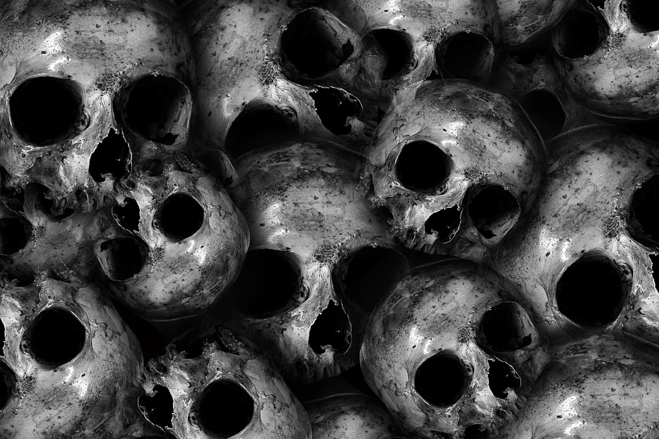 Skulls