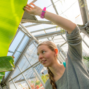 Dr. Sonja Birthisel.jpeg