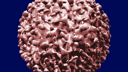 Hepatitis C