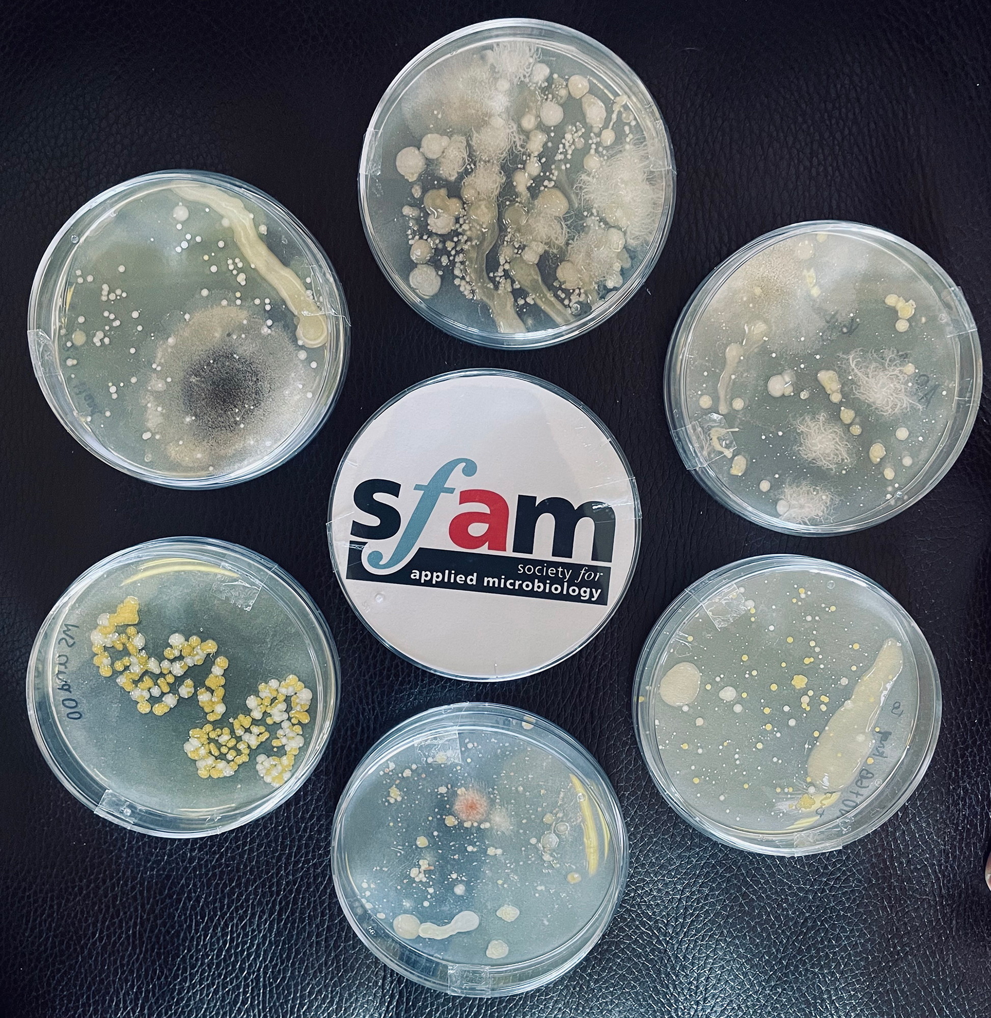 Samantha Maclean Outreach 1.jpg