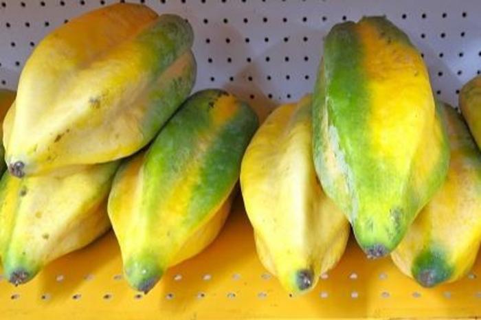 Low-Res_Babaco fruit.jpg