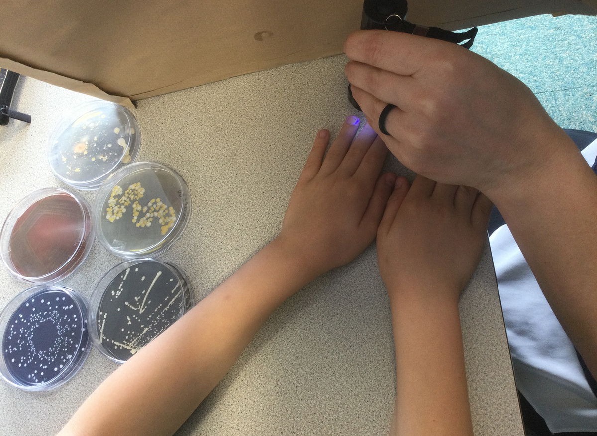 Checking for 'microbes' under UV!