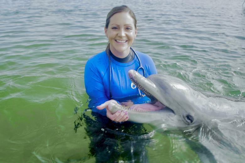 6526_dolphin1_133343_crop (2).jpg